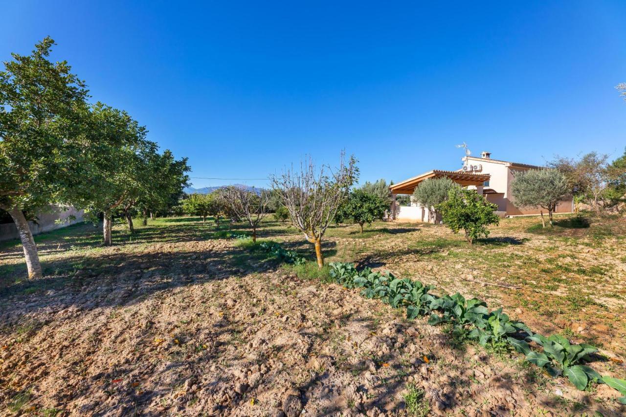 Villa Son Allarga Costitx  Εξωτερικό φωτογραφία
